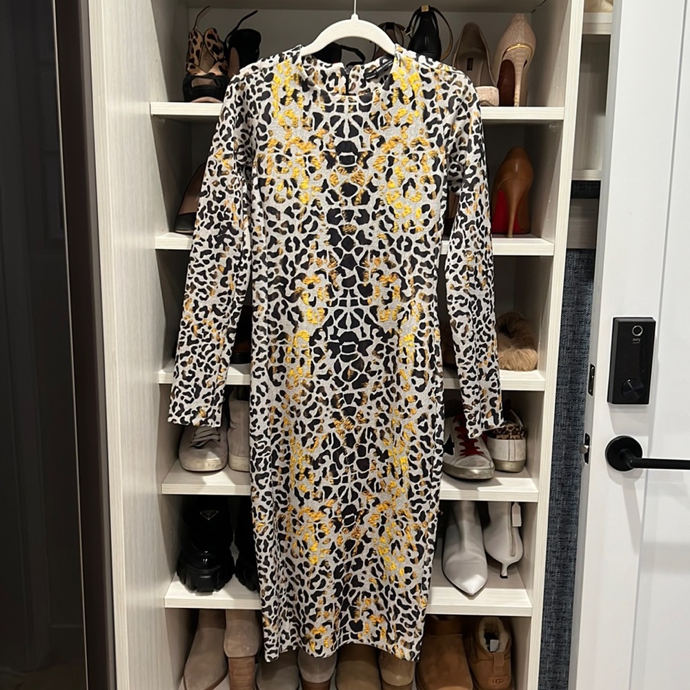 Zara Dress Fitted